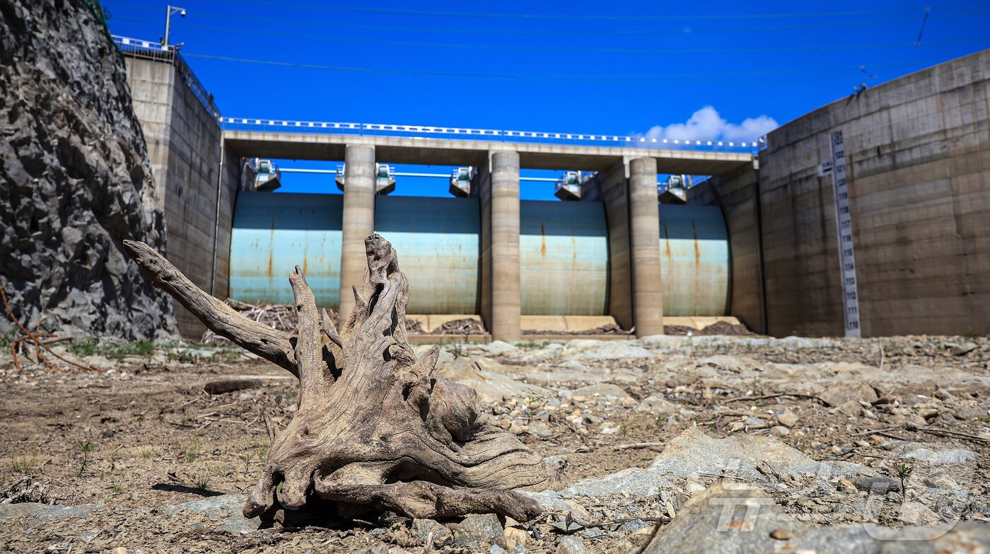 본문 이미지 - 지난 9월 10일 오후 강원 강릉시 오봉저수지가 바짝 말라붙어 바닥을 드러내고 있다.  ⓒ News1 김진환 기자