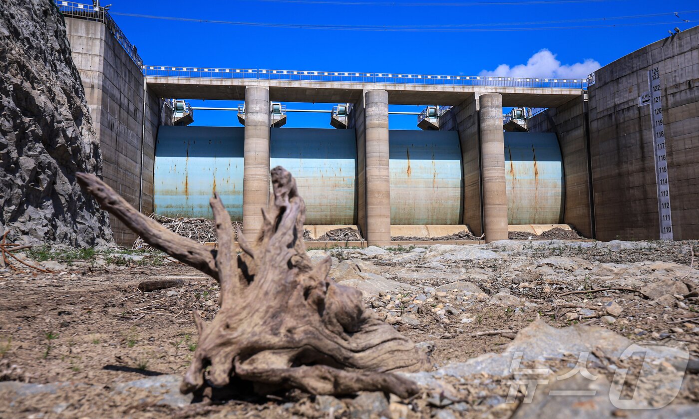 본문 이미지 - 지난 9월 10일 오후 강원 강릉시 오봉저수지가 바짝 말라붙어 바닥을 드러내고 있다. ⓒ News1 김진환 기자