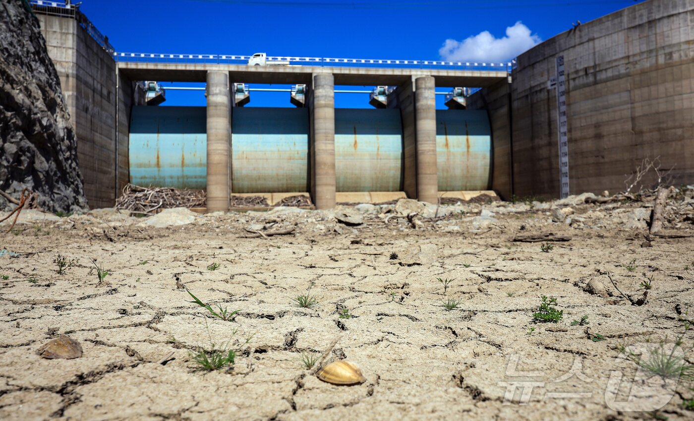 본문 이미지 - 지난 10일 오후 강원 강릉시 오봉저수지가 바짝 말라붙어 바닥을 드러내고 있다.&#40;뉴스1 DB&#41; ⓒ News1 김진환 기자