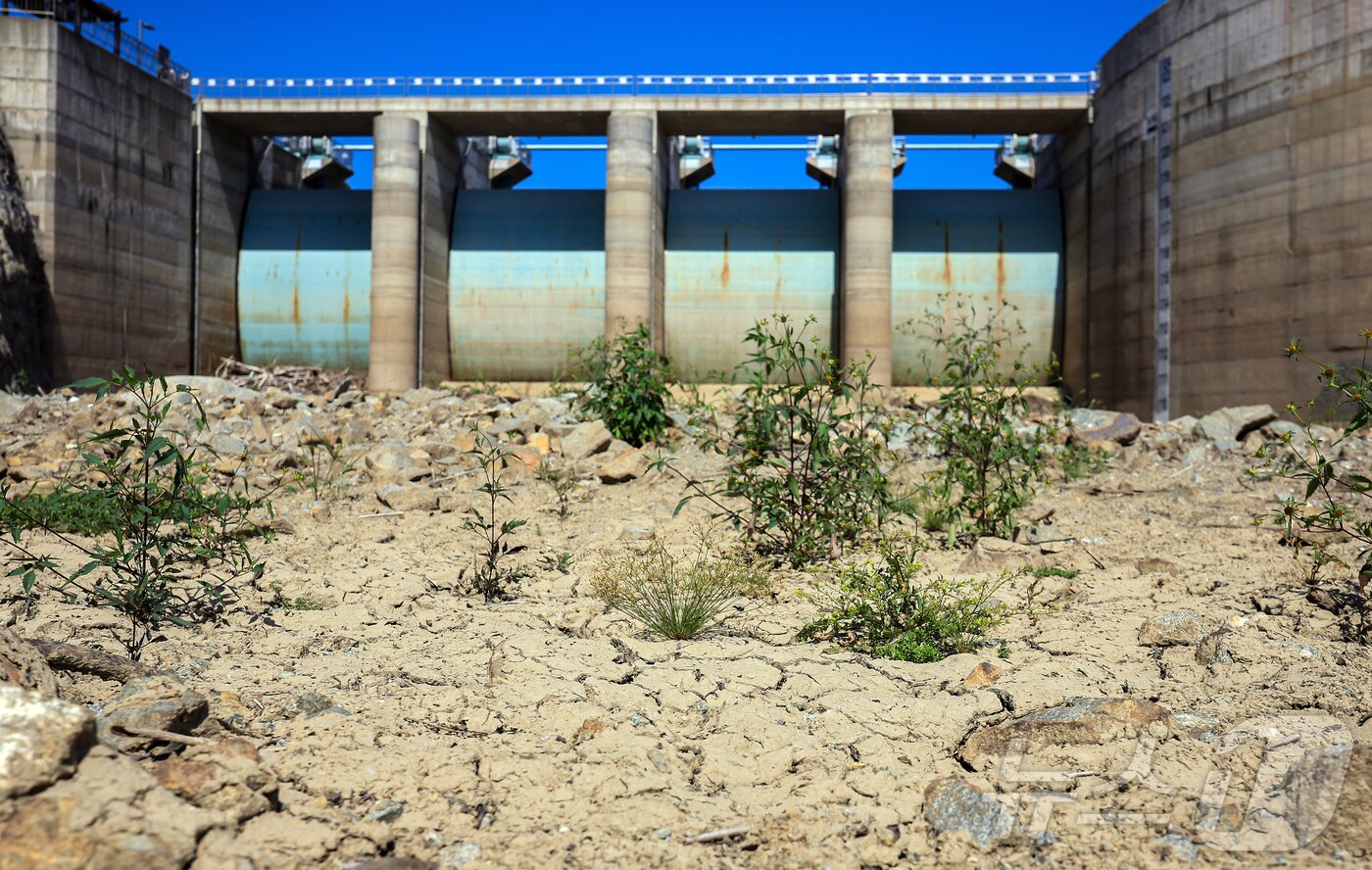본문 이미지 - 지난 9월 10일 오후 강원 강릉시 오봉저수지가 바짝 말라붙어 바닥을 드러내고 있다. &#40;뉴스1 DB&#41;ⓒ News1 김진환 기자