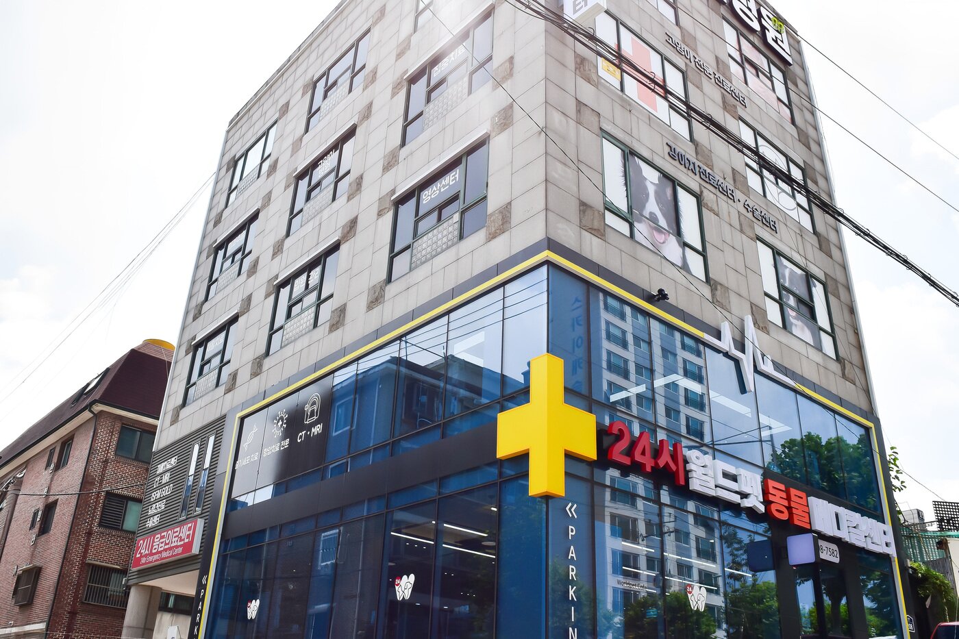 본문 이미지 - 24시 월드펫동물메디컬센터 전경. 건물 5층에 서울동물영상센터가 있다. ⓒ 뉴스1