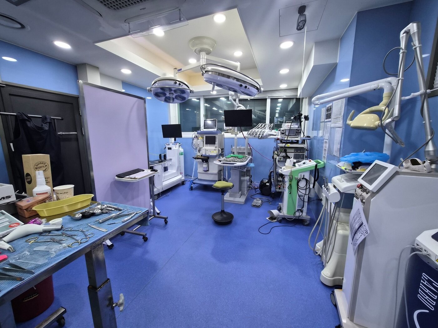 본문 이미지 - 반려동물 치과센터(라라동물의료원 제공) ⓒ 뉴스1