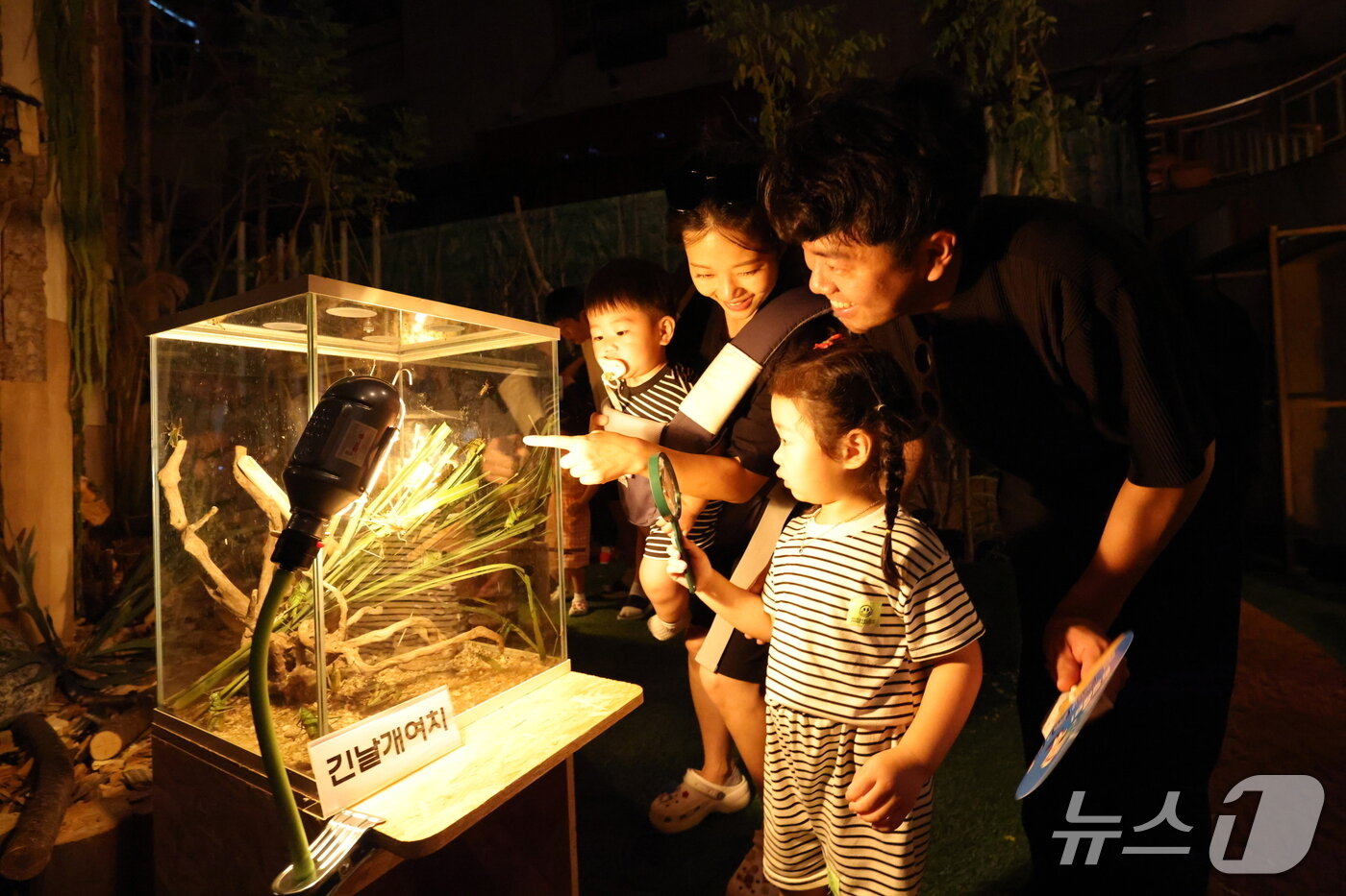 본문 이미지 - 지난 6일 개최된 &#39;제29회 무주반딧불추제&#39; 현장.&#40;무주군 제공. 재판매 및 DB 금지&#41;