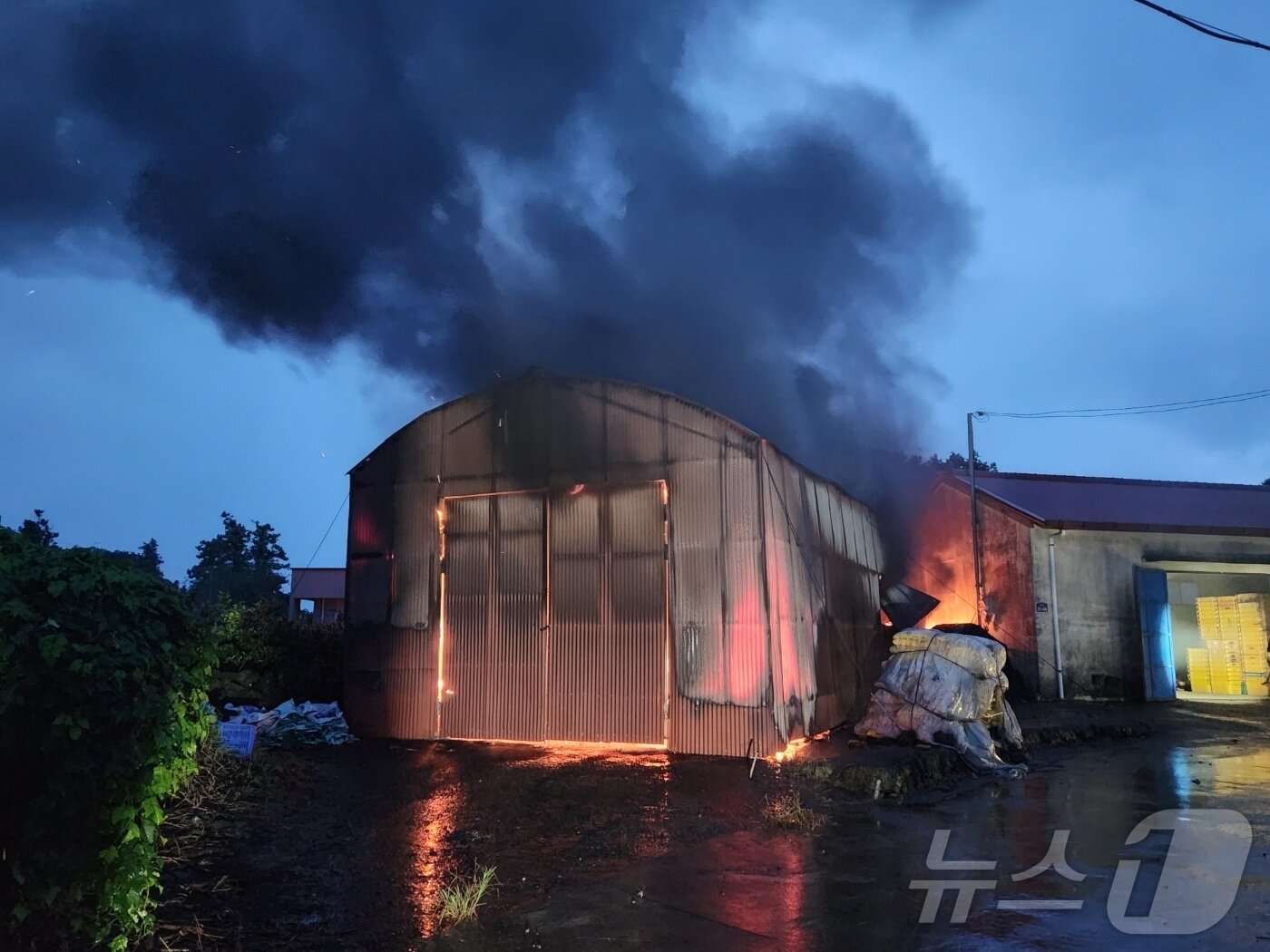 본문 이미지 - 12일 오전 5시46분쯤 제주 서귀포시 성산읍 신풍리 소재 창고에서 낙뢰가 원인으로 추정되는 화재가 발생했다.&#40;제주도소방안전본부 제공. 재판매 및 DB 금지&#41; /뉴스1
