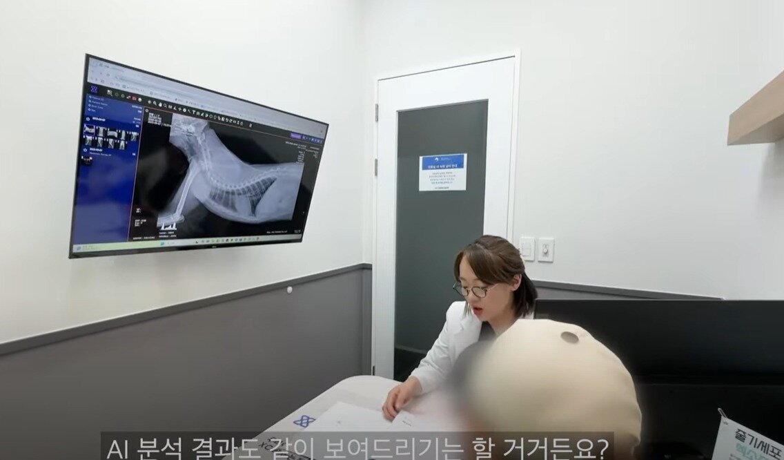 본문 이미지 - 엑스레이 결과 설명 중인 수의사&#40;스튜디오 그냥 갈무리&#41; ⓒ 뉴스1
