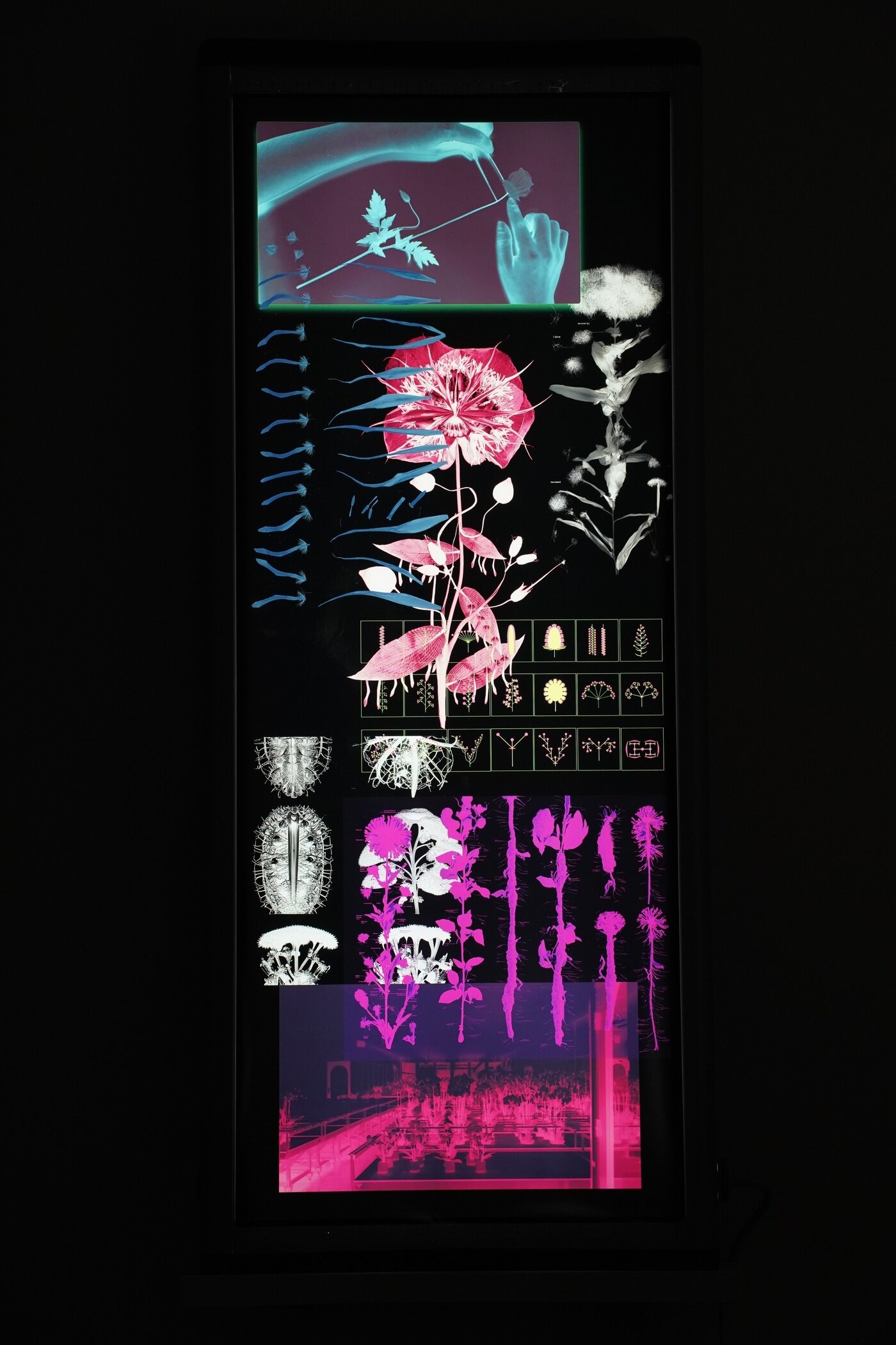 본문 이미지 - (수림큐브 제공)