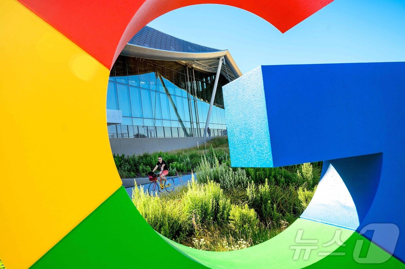 본문 이미지 - 구글 ⓒ AFP=뉴스1