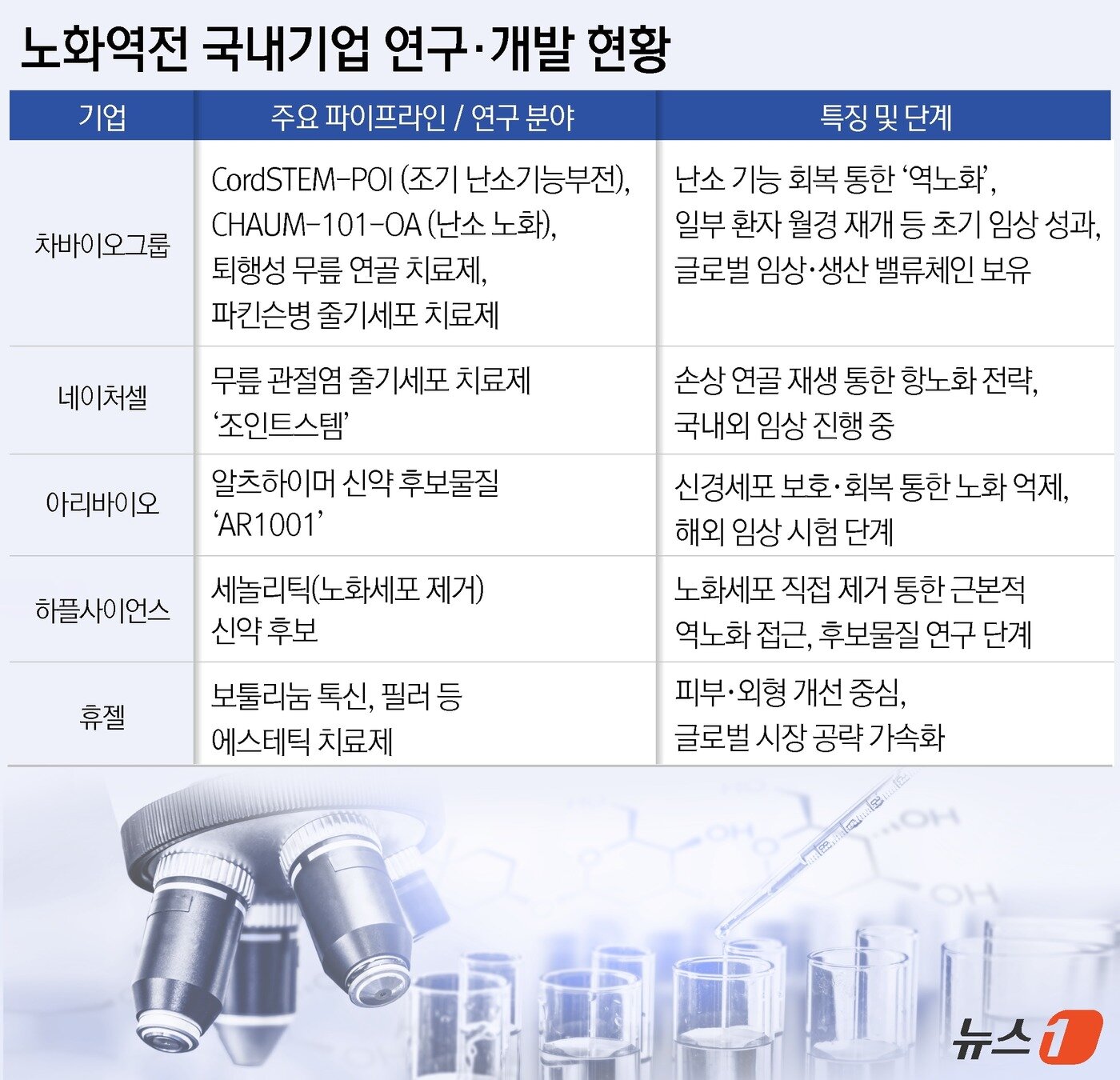 본문 이미지 - ⓒ News1 윤주희 디자이너