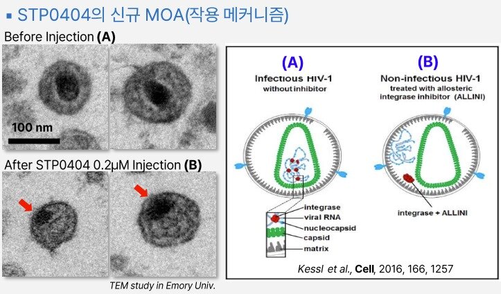 본문 이미지 - 차세대 에이즈 신약 '피그미테그라비르'(STP0404) 기전.(에스티팜 제공)/뉴스1