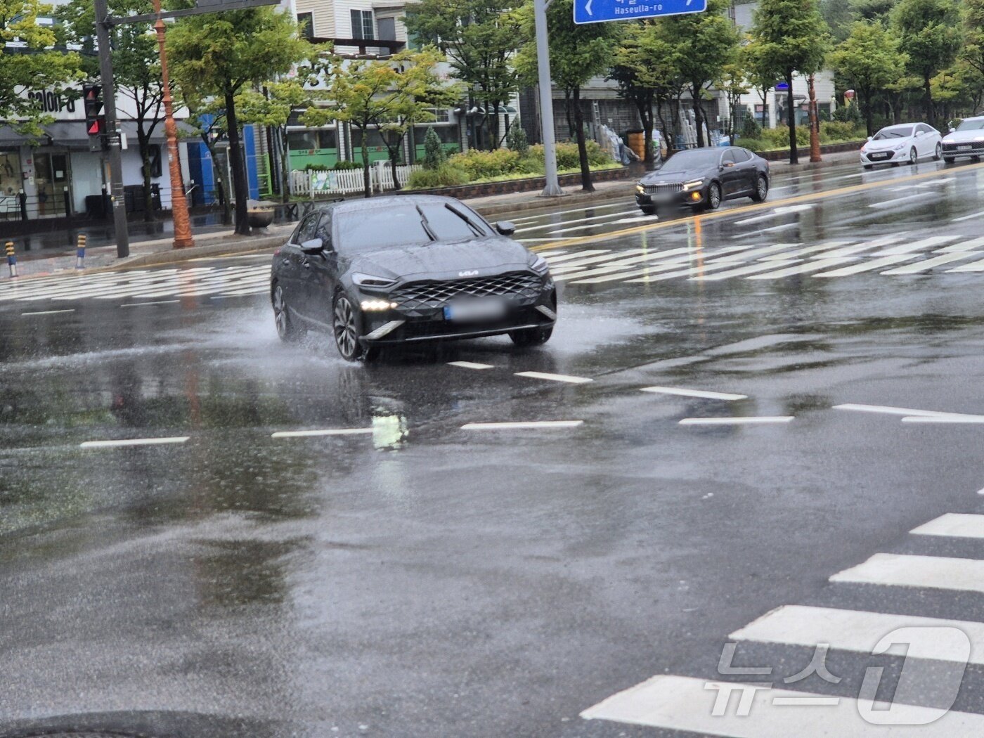 본문 이미지 - 극심한 가뭄을 겪고 있는 강원 강릉지역에 많은 비가 내린 13일 오전 교1동 사거리 도로에서 차량이 도로 위로 물보라를 일으키며 지나가고 있다. 2025.9.13/뉴스1 ⓒ News1 윤왕근 기자