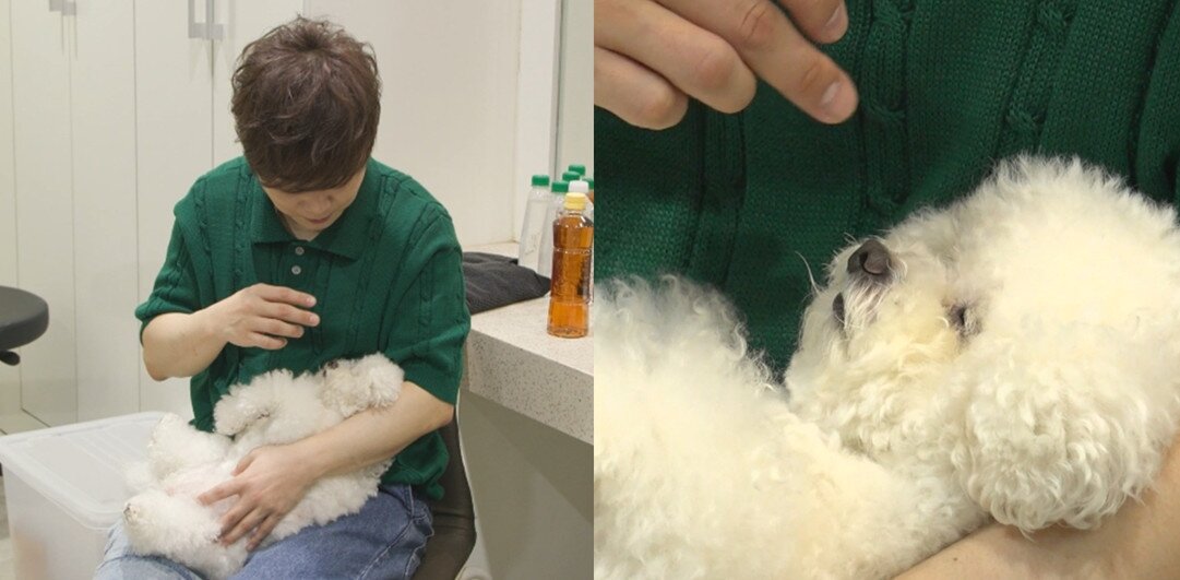 본문 이미지 - MBC