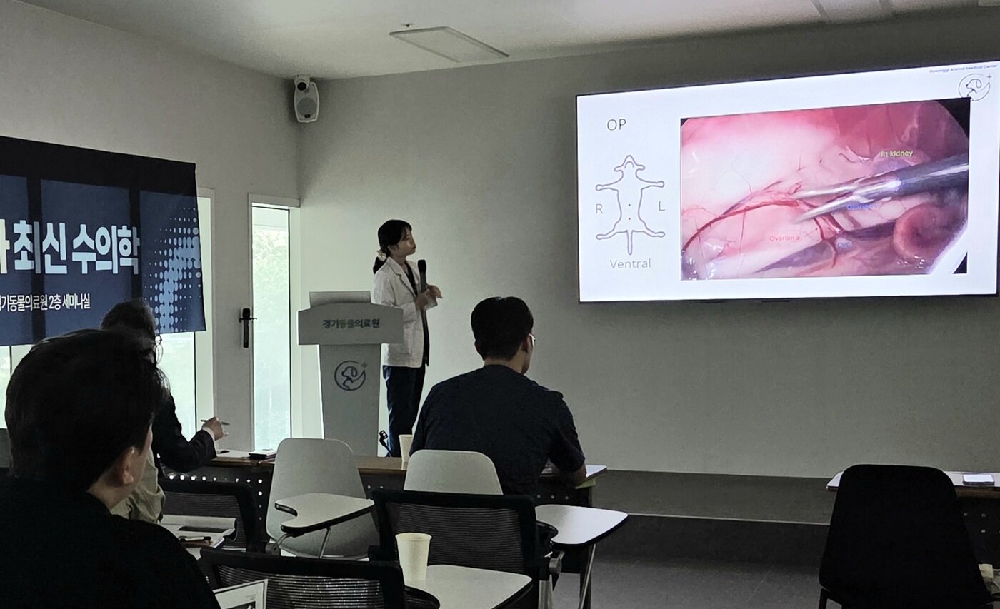 본문 이미지 - 이기연 경기동물의료원 최소침습수술센터장이 13일 개원 세미나에서 &#39;증례로 소개하는 카메라 수술의 다양한 적용&#39;을 주제로 발표하고 있다. ⓒ 뉴스1 한송아 기자