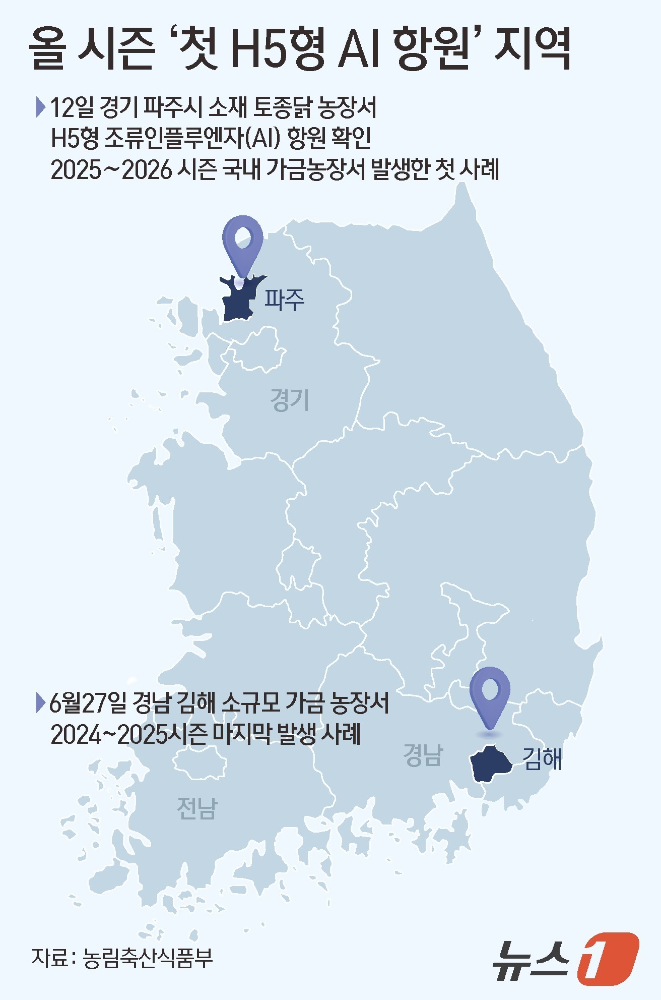 (서울=뉴스1) 윤주희 디자이너 = 농림축산식품부는 12일 경기 파주시 소재 토종닭 농장에서 H5형 조류인플루엔자(AI) 항원이 확인됐다고 밝혔다. 해당 농장에서는 4500여수의 …