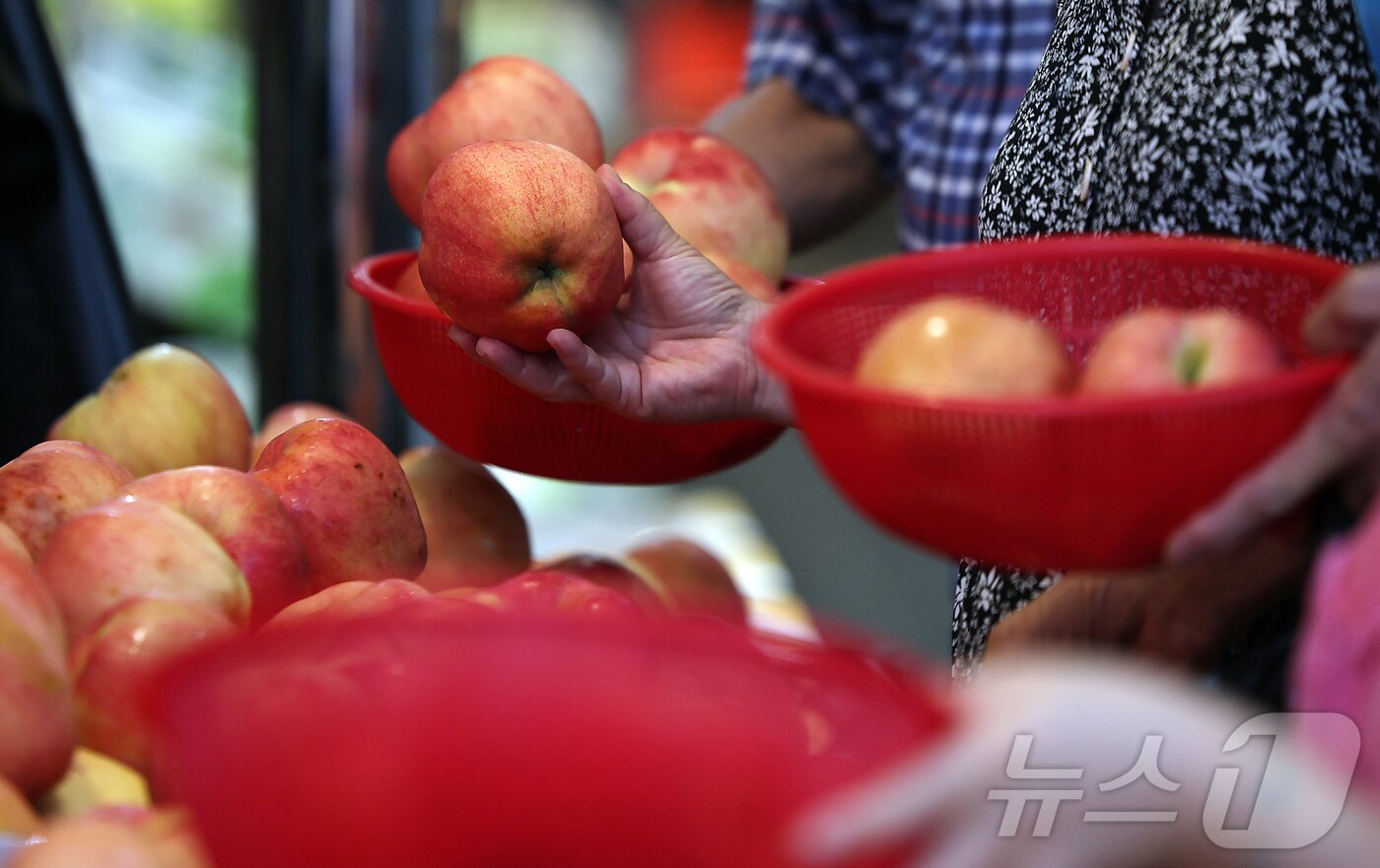 본문 이미지 - 14일 서울 동대문구 청량리 전통시장을 찾은 시민들이 사과를 구매하고 있다. 2025.9.14/뉴스1 ⓒ News1 김진환 기자