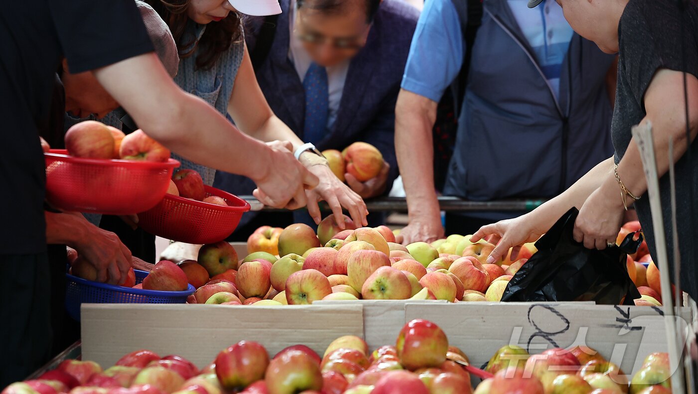 본문 이미지 - 14일 서울 동대문구 청량리 전통시장을 찾은 시민들이 사과를 구매하고 있다. 2025.9.14/뉴스1 ⓒ News1 김진환 기자