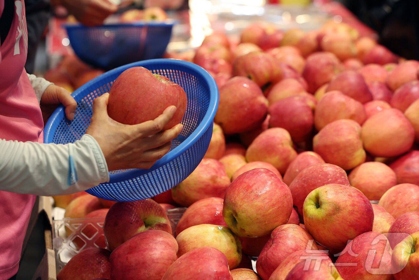 본문 이미지 - 14일 서울 동대문구 청량리 전통시장을 찾은 시민이 사과를 구매하고 있다. 2025.9.14/뉴스1 ⓒ News1 김진환 기자