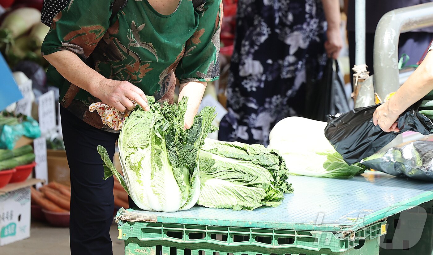 본문 이미지 - 14일 서울 동대문구 청량리 전통시장을 찾은 시민들이 장을 보고 있다. 2025.9.14/뉴스1 ⓒ News1 김진환 기자