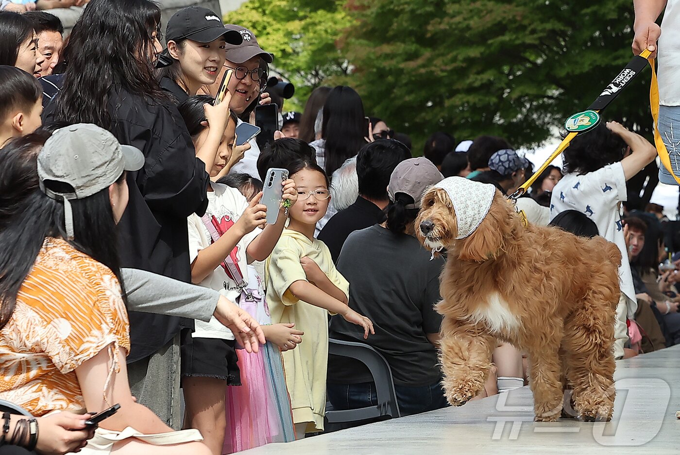 본문 이미지 - 14일 서울 중구 동대문디자인플라자(DDP)에서 열린 반려견과 함께하는 제로웨이스트 패션쇼 '댕댕 런웨이’에서 관람객들이 모델들과 반려견들의 워킹을 보며 미소를 짓고 있다. 2025.9.14/뉴스1 ⓒ News1 김진환 기자