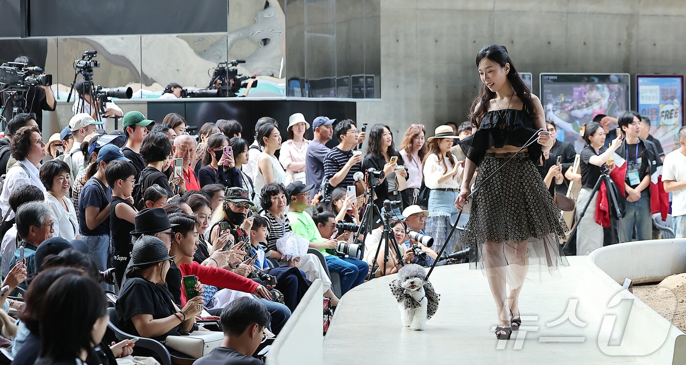 본문 이미지 - 14일 서울 중구 동대문디자인플라자(DDP)에서 열린 반려견과 함께하는 제로웨이스트 패션쇼 '댕댕 런웨이’에 참가한 모델들과 반려견들이 무대 위로 워킹하고 있다. 2025.9.14/뉴스1 ⓒ News1 김진환 기자