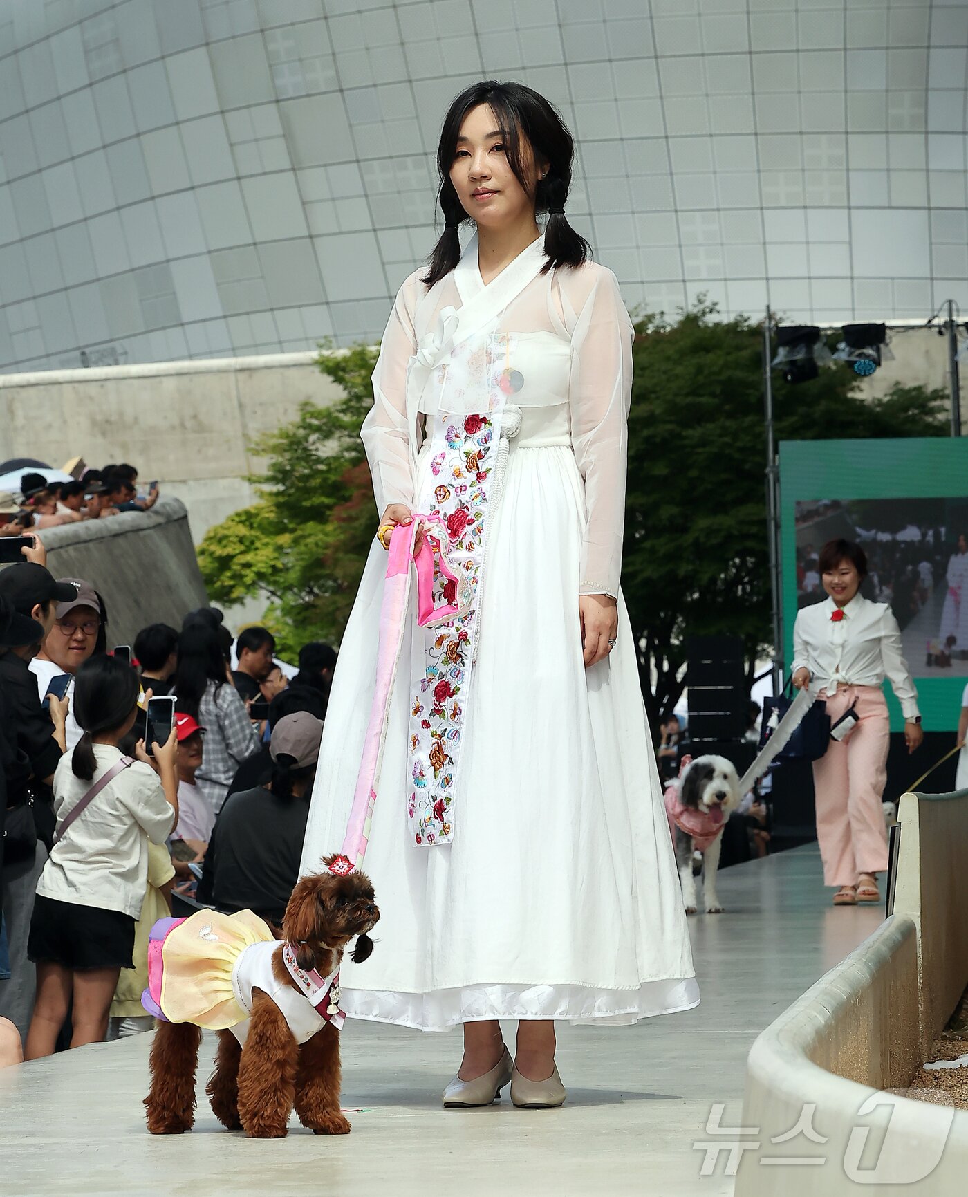 본문 이미지 - 14일 서울 중구 동대문디자인플라자(DDP)에서 열린 반려견과 함께하는 제로웨이스트 패션쇼 '댕댕 런웨이’에 참가한 모델들과 반려견들이 무대 위로 워킹하고 있다. 2025.9.14/뉴스1 ⓒ News1 김진환 기자