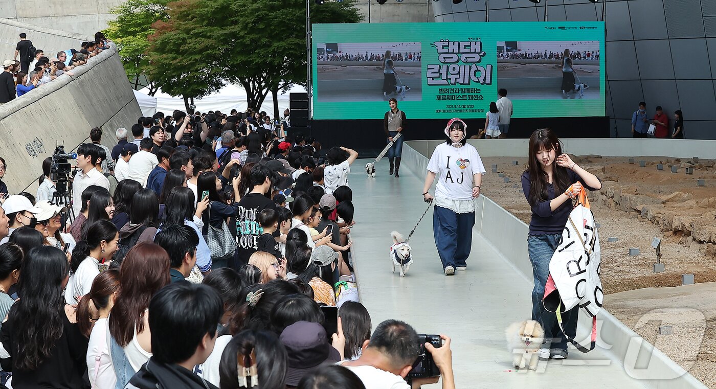 본문 이미지 - 14일 서울 중구 동대문디자인플라자(DDP)에서 열린 반려견과 함께하는 제로웨이스트 패션쇼 '댕댕 런웨이’에 참가한 모델들과 반려견들이 무대 위로 워킹하고 있다. 2025.9.14/뉴스1 ⓒ News1 김진환 기자