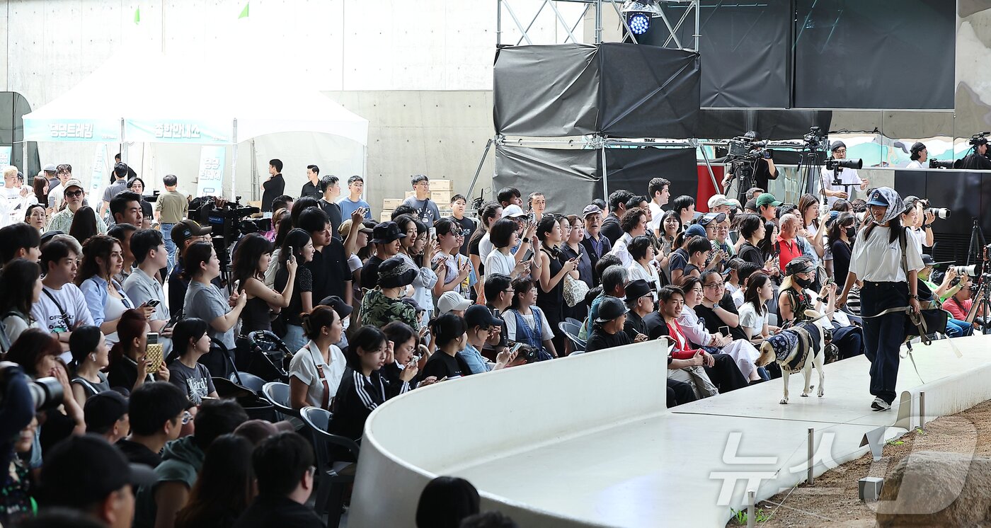 본문 이미지 - 14일 서울 중구 동대문디자인플라자(DDP)에서 열린 반려견과 함께하는 제로웨이스트 패션쇼 '댕댕 런웨이’에 참가한 모델들과 반려견들이 무대 위로 워킹하고 있다. 2025.9.14/뉴스1 ⓒ News1 김진환 기자