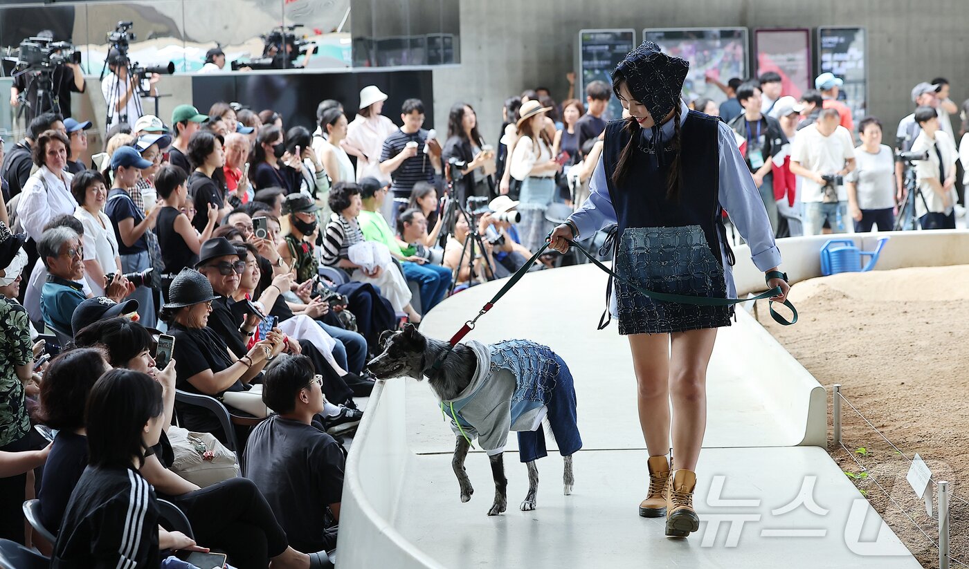 본문 이미지 - 14일 서울 중구 동대문디자인플라자(DDP)에서 열린 반려견과 함께하는 제로웨이스트 패션쇼 '댕댕 런웨이’에 참가한 모델들과 반려견들이 무대 위로 워킹하고 있다. 2025.9.14/뉴스1 ⓒ News1 김진환 기자