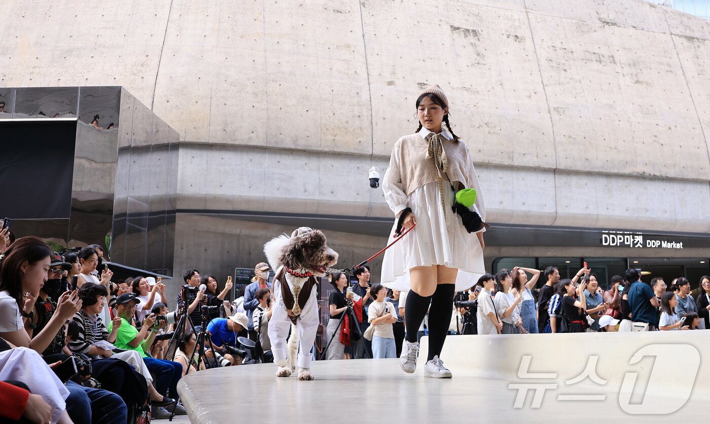 본문 이미지 - 14일 서울 중구 동대문디자인플라자(DDP)에서 열린 반려견과 함께하는 제로웨이스트 패션쇼 '댕댕 런웨이’에 참가한 모델들과 반려견들이 무대 위로 워킹하고 있다. 2025.9.14/뉴스1 ⓒ News1 김진환 기자