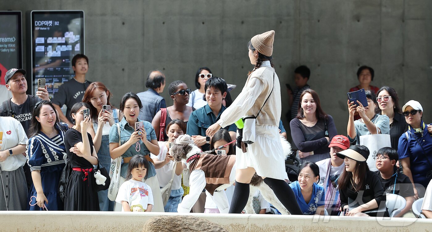 본문 이미지 - 14일 서울 중구 동대문디자인플라자(DDP)에서 열린 반려견과 함께하는 제로웨이스트 패션쇼 '댕댕 런웨이’에서 관람객들이 모델들과 반려견들의 워킹을 보며 미소를 짓고 있다. 2025.9.14/뉴스1 ⓒ News1 김진환 기자