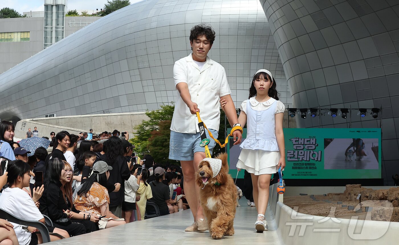 본문 이미지 - 14일 서울 중구 동대문디자인플라자(DDP)에서 열린 반려견과 함께하는 제로웨이스트 패션쇼 '댕댕 런웨이’에 참가한 모델들과 반려견들이 무대 위로 워킹하고 있다. 2025.9.14/뉴스1 ⓒ News1 김진환 기자