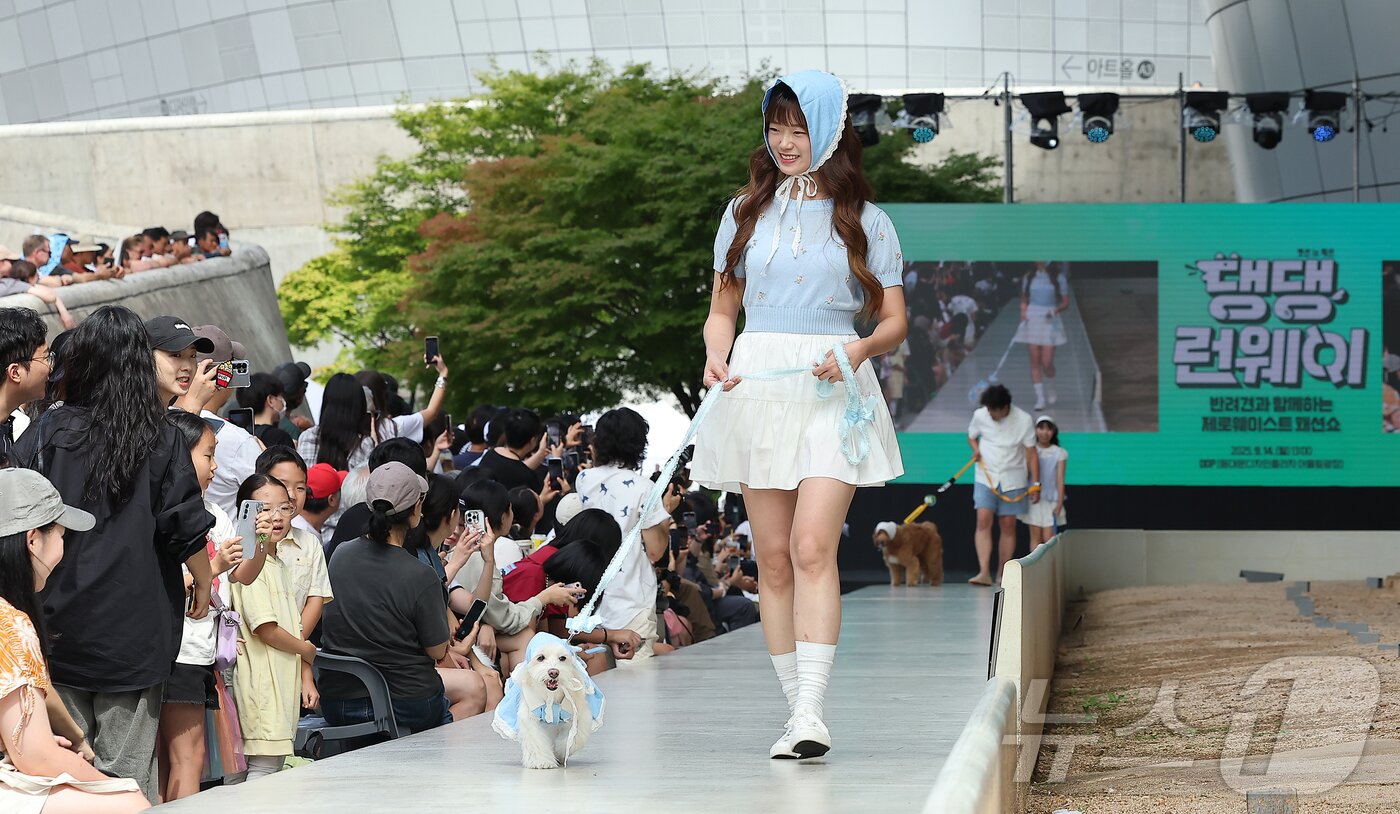 본문 이미지 - 14일 서울 중구 동대문디자인플라자(DDP)에서 열린 반려견과 함께하는 제로웨이스트 패션쇼 '댕댕 런웨이’에 참가한 모델들과 반려견들이 무대 위로 워킹하고 있다. 2025.9.14/뉴스1 ⓒ News1 김진환 기자