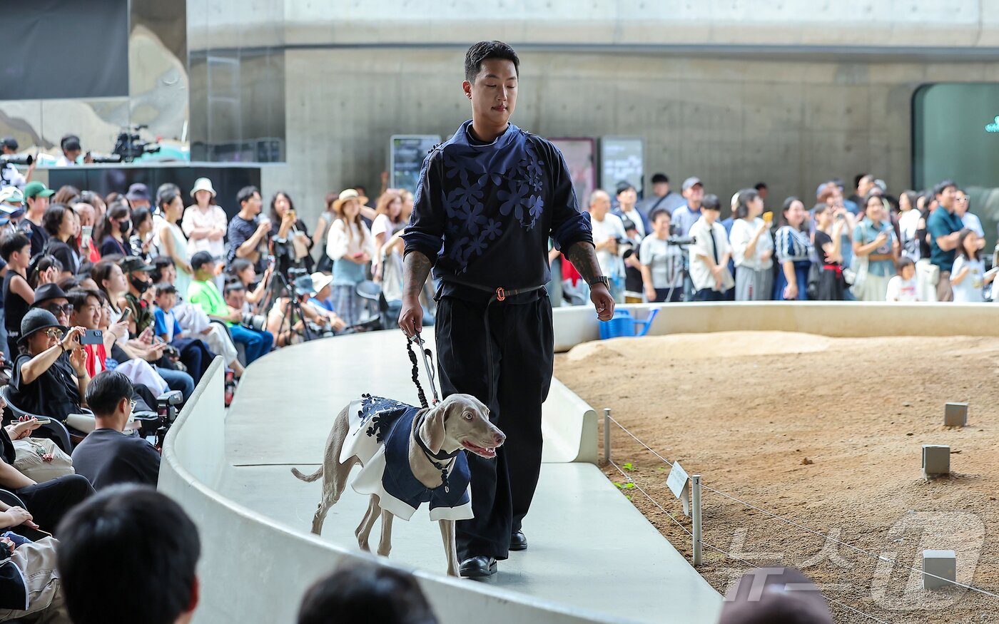 본문 이미지 - 14일 서울 중구 동대문디자인플라자(DDP)에서 열린 반려견과 함께하는 제로웨이스트 패션쇼 '댕댕 런웨이’에 참가한 모델들과 반려견들이 무대 위로 워킹하고 있다. 2025.9.14/뉴스1 ⓒ News1 김진환 기자