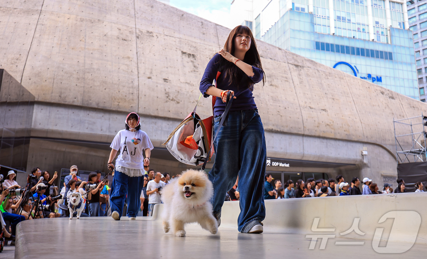 (서울=뉴스1) 김진환 기자 = 14일 서울 중구 동대문디자인플라자(DDP)에서 열린 반려견과 함께하는 제로웨이스트 패션쇼 '댕댕 런웨이’에 참가한 모델들과 반려견들이 무대 위로 …