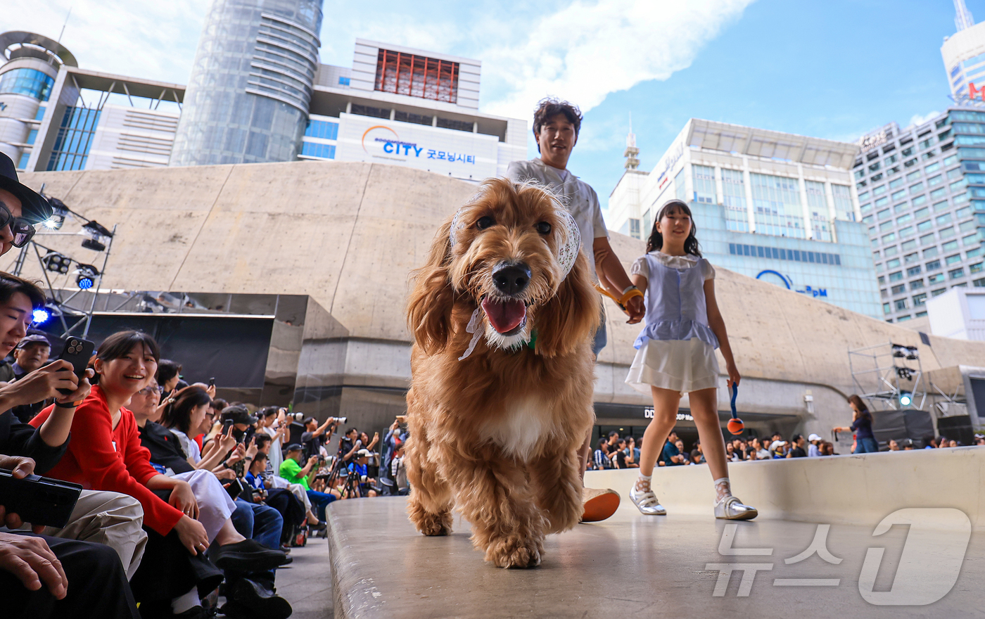 (서울=뉴스1) 김진환 기자 = 14일 서울 중구 동대문디자인플라자(DDP)에서 열린 반려견과 함께하는 제로웨이스트 패션쇼 '댕댕 런웨이’에 참가한 모델들과 반려견들이 무대 위로 …