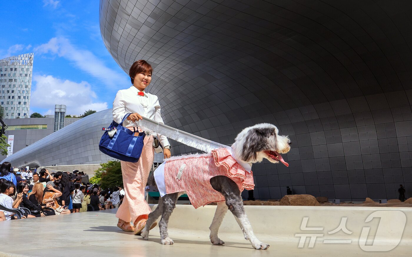 본문 이미지 - 14일 서울 중구 동대문디자인플라자(DDP)에서 열린 반려견과 함께하는 제로웨이스트 패션쇼 '댕댕 런웨이’에 참가한 모델들과 반려견들이 무대 위로 워킹하고 있다. 2025.9.14/뉴스1 ⓒ News1 김진환 기자