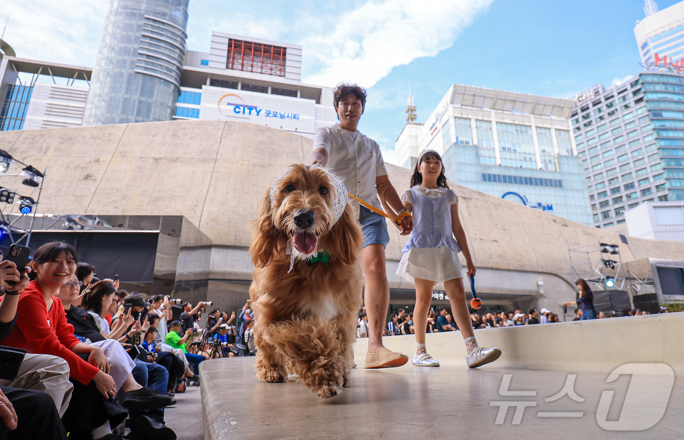 (서울=뉴스1) 김진환 기자 = 14일 서울 중구 동대문디자인플라자(DDP)에서 열린 반려견과 함께하는 제로웨이스트 패션쇼 '댕댕 런웨이’에 참가한 모델들과 반려견들이 무대 위로 …