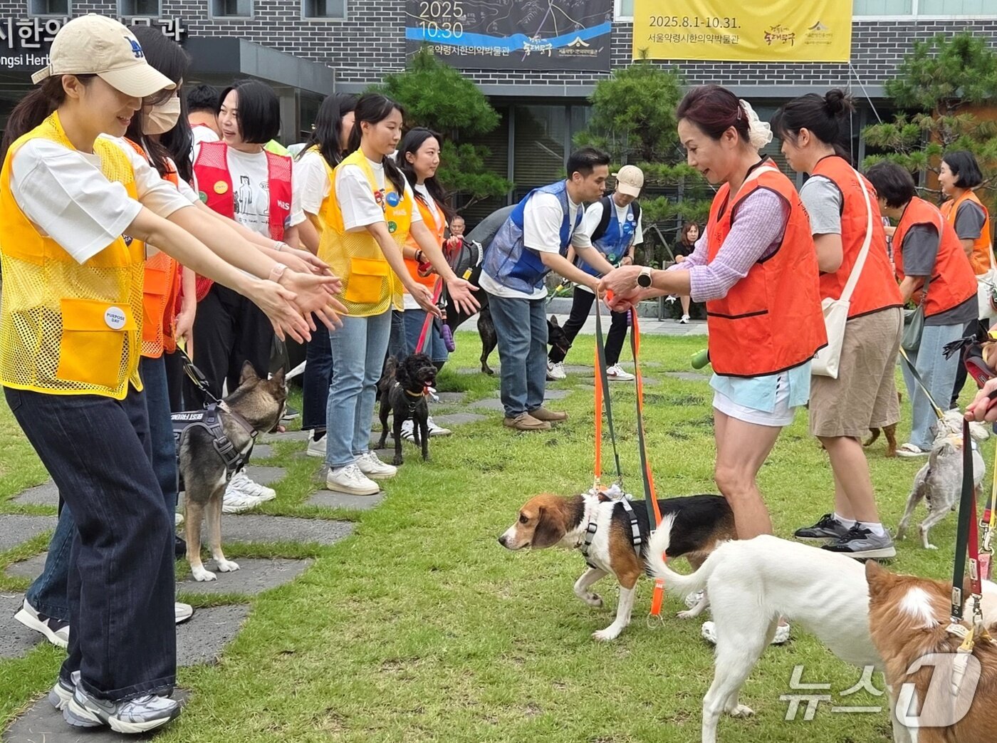본문 이미지 - 한국마즈 임직원들이 12일 발라당입양센터의 동물들을 위한 산책봉사를 하고 있다. ⓒ 뉴스1 최서윤 기자