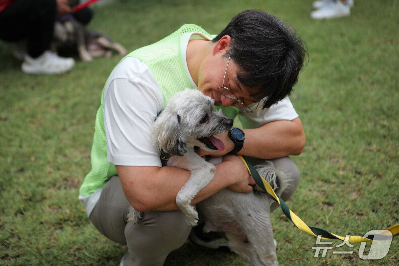 본문 이미지 - 한국마즈 임직원들이 12일 발라당입양센터의 동물들을 위한 산책봉사를 하고 있다(센터 제공). ⓒ 뉴스1