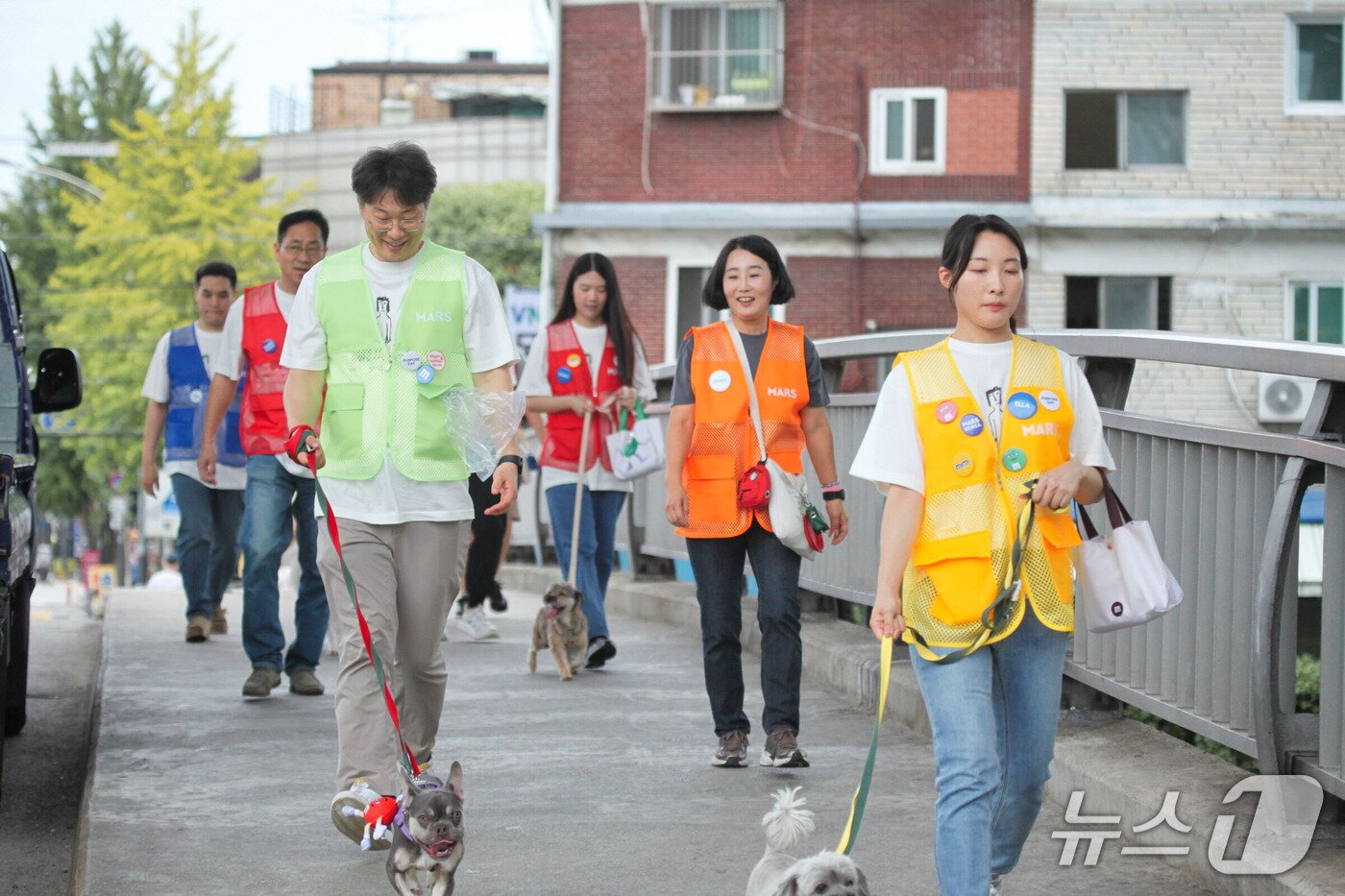 본문 이미지 - 한국마즈 임직원들이 12일 발라당입양센터의 동물들을 위한 산책봉사를 하고 있다(센터 제공). ⓒ 뉴스1