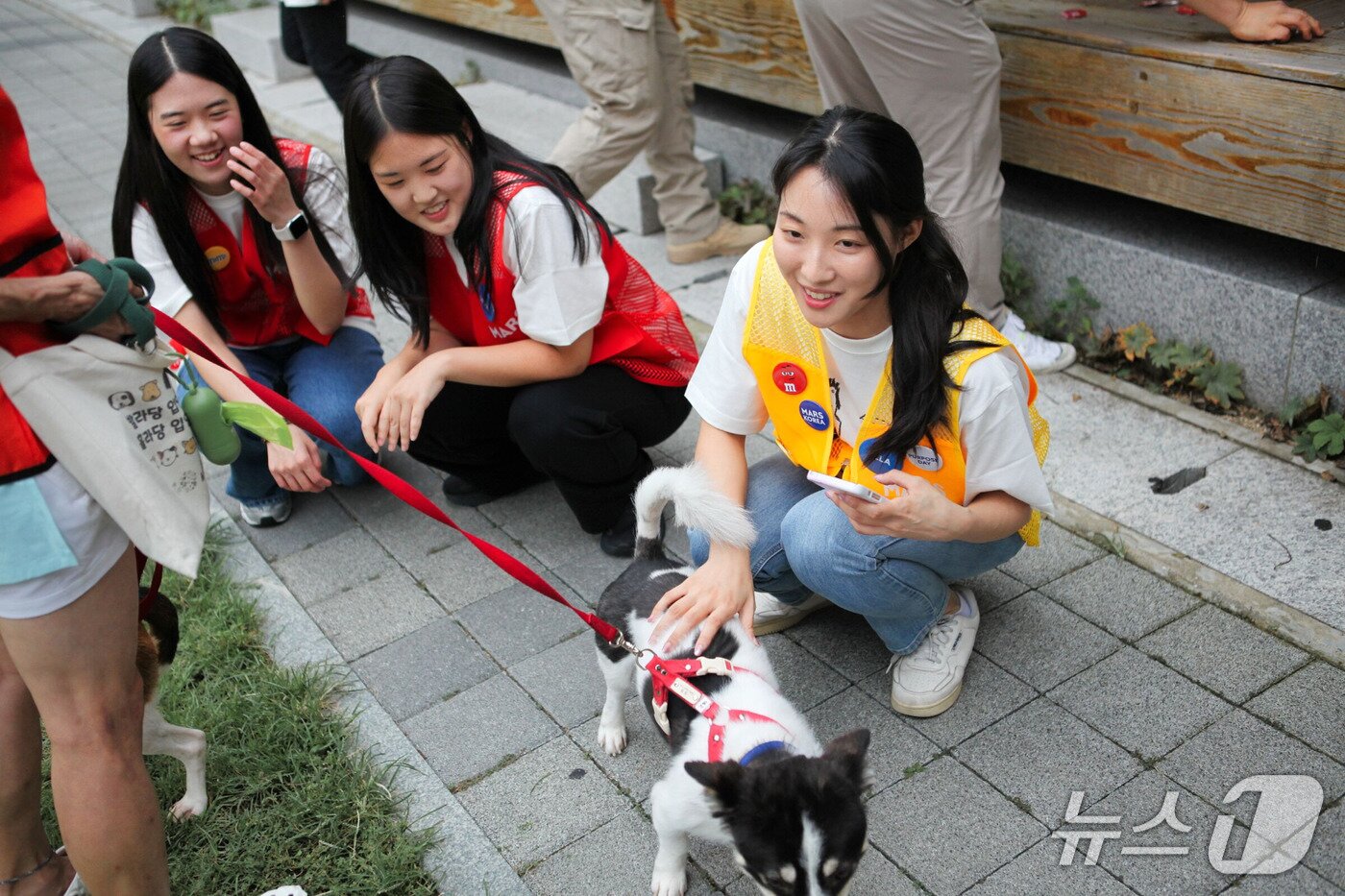본문 이미지 - 한국마즈 임직원들이 12일 발라당입양센터의 동물들을 위한 산책봉사를 하고 있다(센터 제공). ⓒ 뉴스1