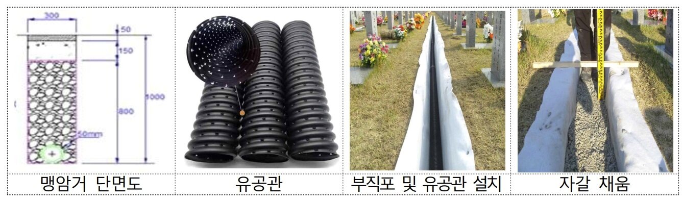 본문 이미지 - 국가보훈부 제공.