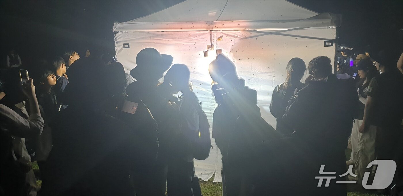 본문 이미지 - 야간곤충 탐사&#40;산림청 국립수목원 제공.재판매 및 DB금지&#41; /뉴스1 