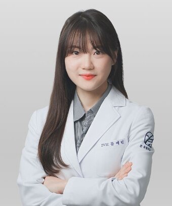 본문 이미지 - 류예빈 본동물의료센터 외과 부장 ⓒ 뉴스1