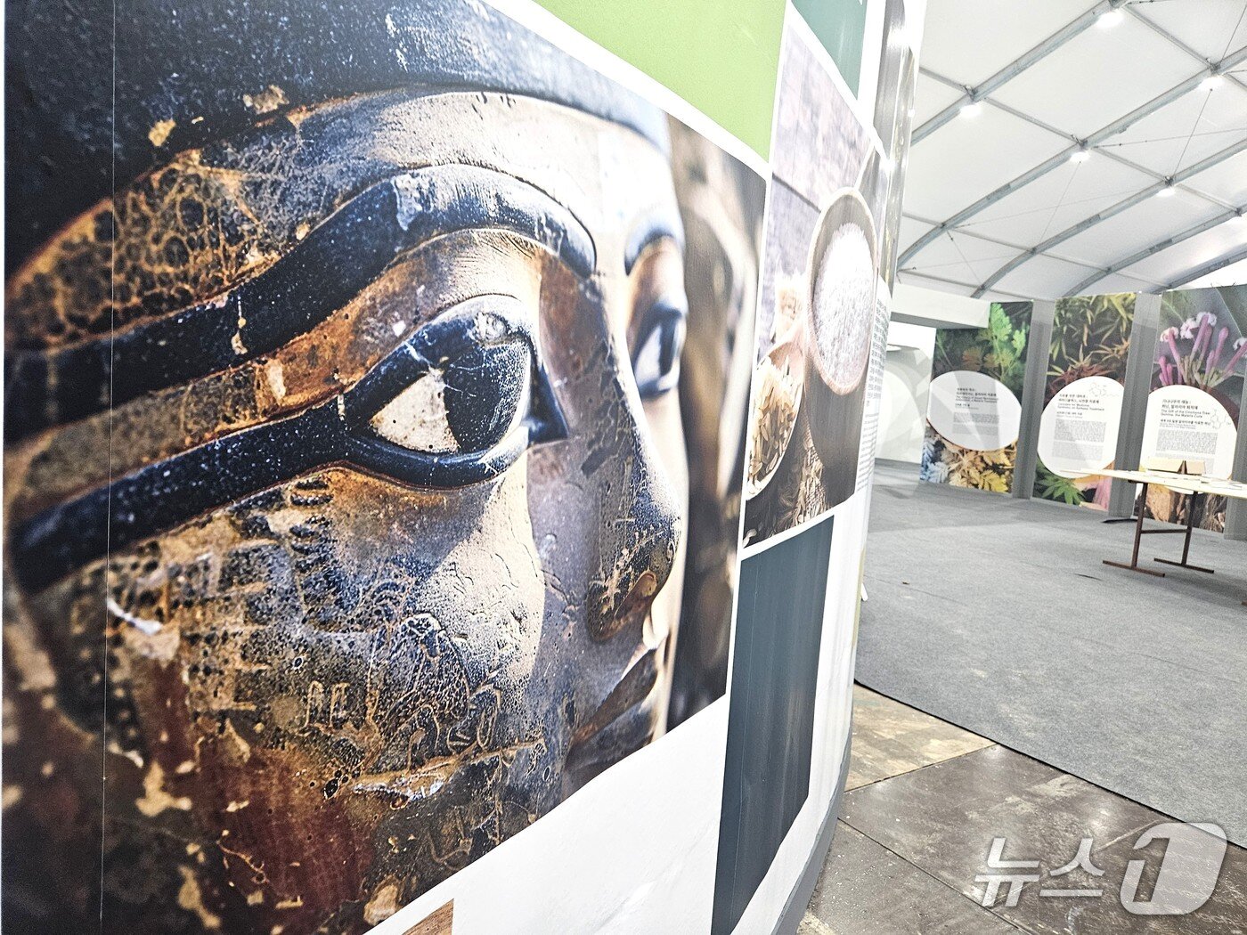 본문 이미지 - 제천국제한방천연물산업엑스포 주요 전시관.2025.9.15/뉴스1 손도언 기자 