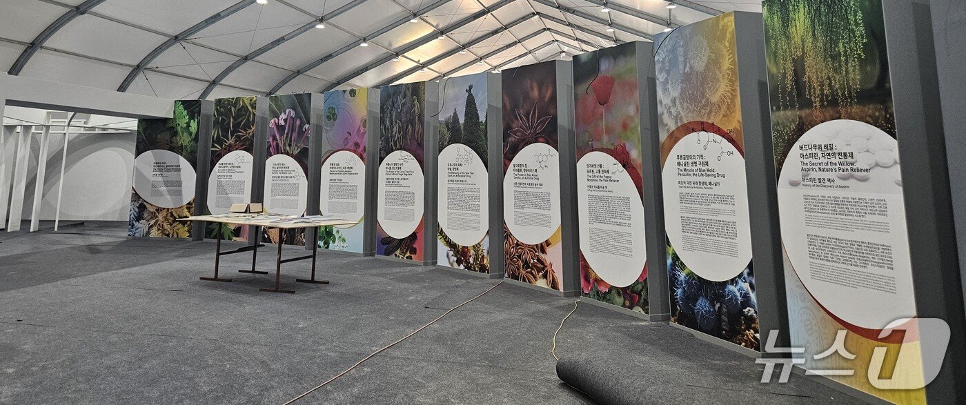 본문 이미지 - 제천국제한방천연물산업엑스포 주요 전시관.2025.9.15/뉴스1 손도언 기자 