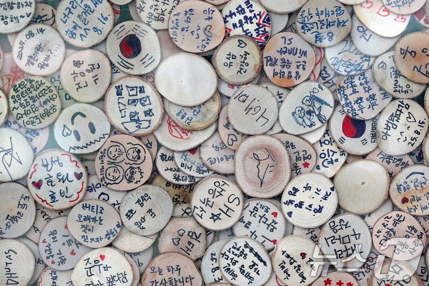 (대구=뉴스1) 공정식 기자 = 15일 대구 수성구 무료 식물원 '생각을 담는 정원' 입구에 이곳을 찾은 시민들이 소망을 적은 나무토막이 빼곡히 쌓여 있다. 관리소 측은 간절한 소 …