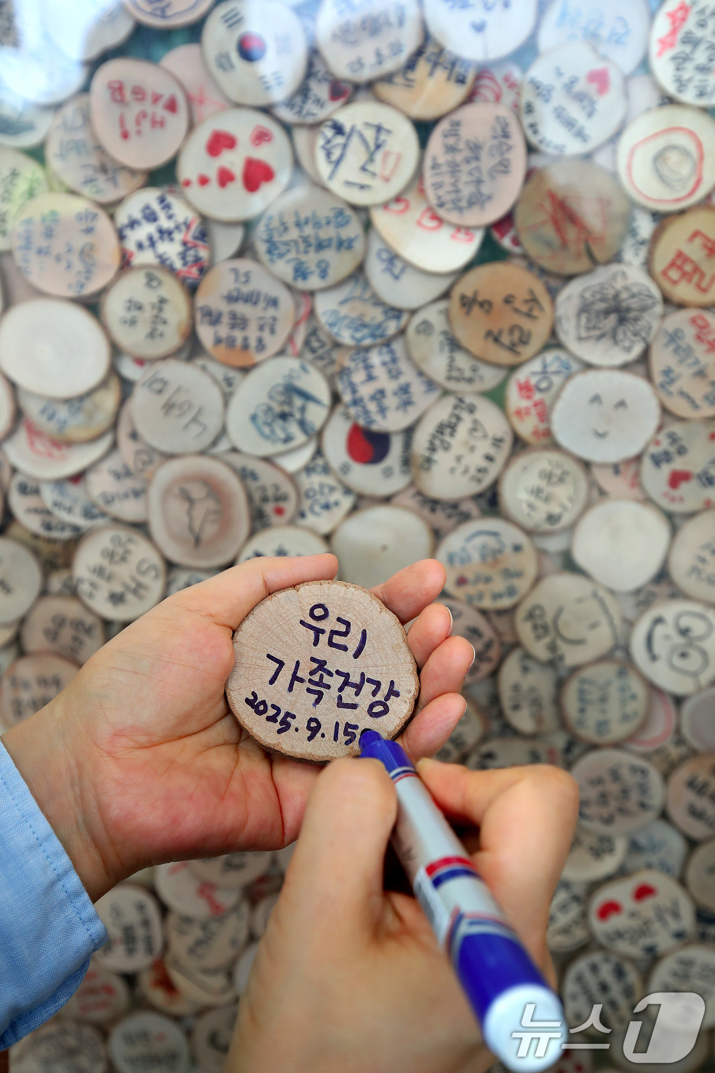 (대구=뉴스1) 공정식 기자 = 15일 대구 수성구 무료 식물원 '생각을 담는 정원'을 찾은 시민이 가족건강을 기원하는 소망을 나무토막에 적고 있다. 관리소 측은 간절한 소망이나 …