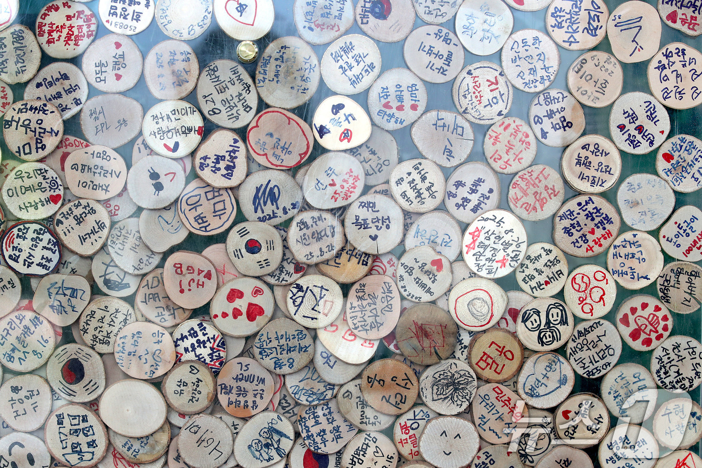 (대구=뉴스1) 공정식 기자 = 15일 대구 수성구 무료 식물원 '생각을 담는 정원' 입구에 이곳을 찾은 시민들이 소망을 적은 나무토막이 빼곡히 쌓여 있다. 관리소 측은 간절한 소 …