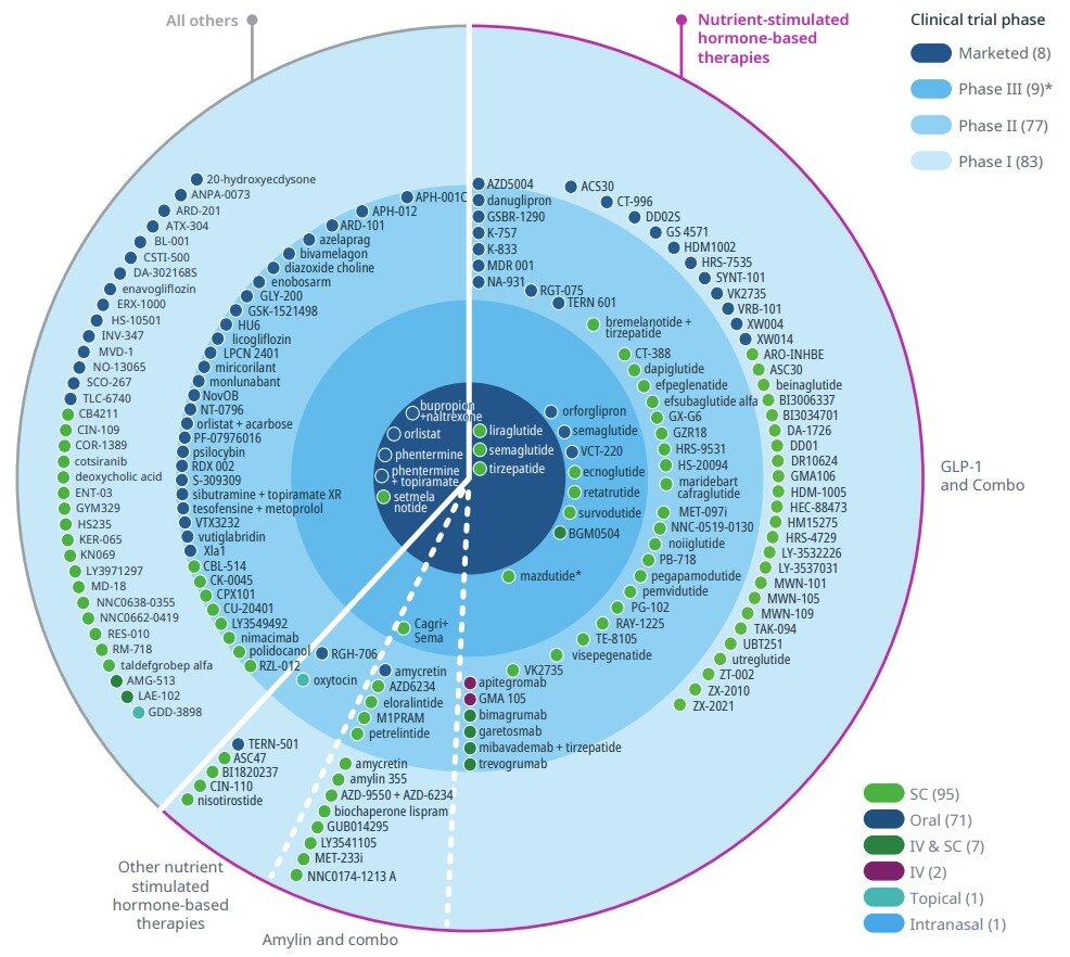 본문 이미지 - 글로벌 비만 신약후보물질 파이프라인 종류.&#40;아이큐비아 자료&#41;/뉴스1