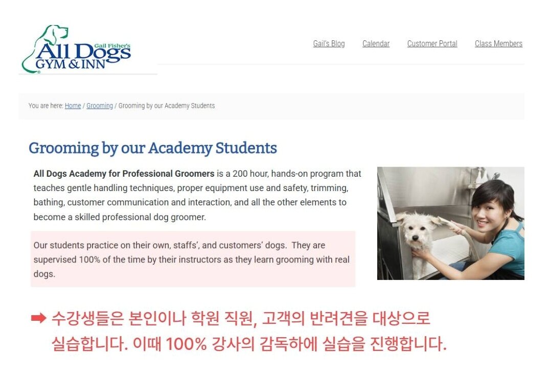 본문 이미지 - 수강생 본인 혹은 학원 직원, 고객 반려견을 대상으로 미용 실습을 하는 해외 사례&#40;동물자유연대 제공&#41; ⓒ 뉴스1